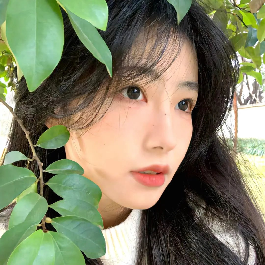 月光光心慌慌5：复仇夜